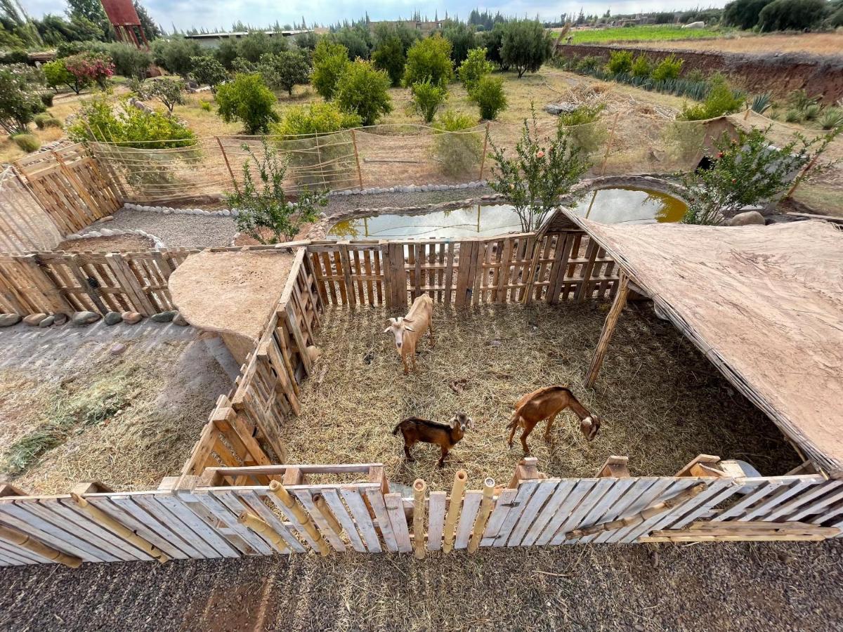 Jnan Lotf Marrakech 호텔 El Harkat 외부 사진