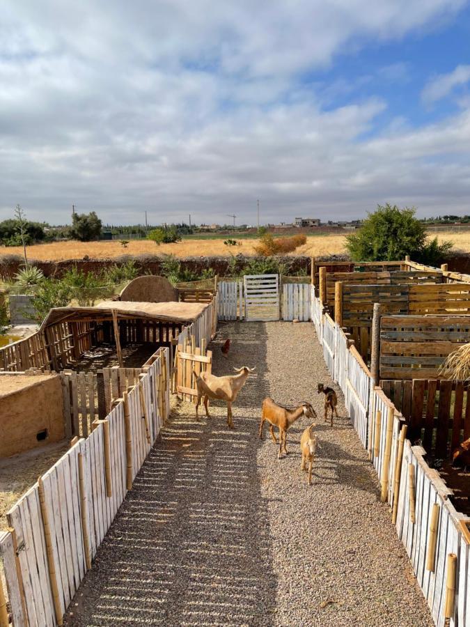 Jnan Lotf Marrakech 호텔 El Harkat 외부 사진